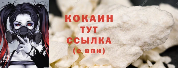 дживик Абинск