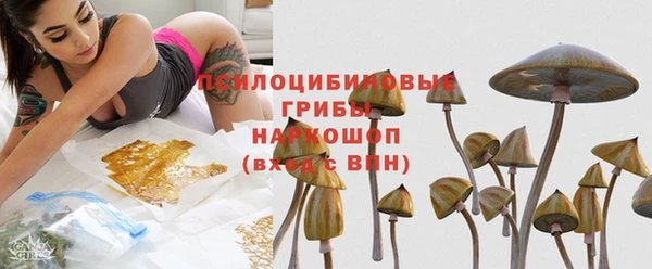 марихуана Абаза