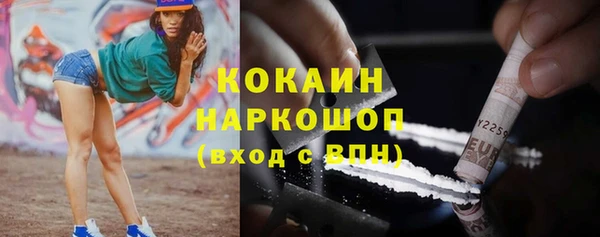 дживик Абинск