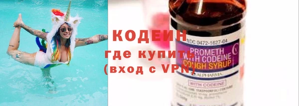 сатива Покачи